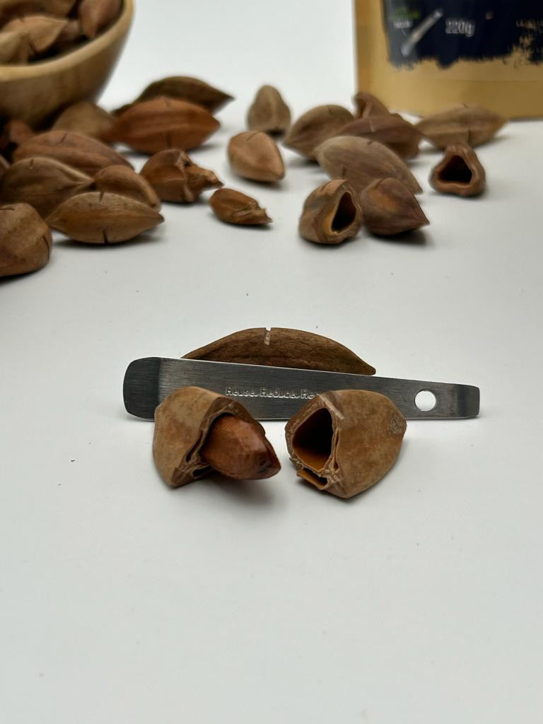 Pili nuts in shell “Doypack Découverte” 220g