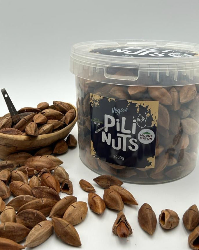 Pili-Nüsse in der Schale „XXL-Eimer“ 2900g