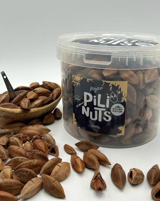 Pili nuts in shell "XXL Bucket" 2900g