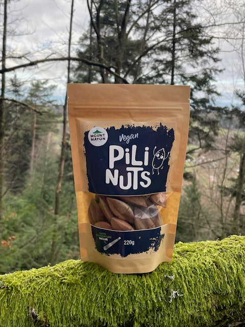 Pili nuts in shell “Doypack Découverte” 220g