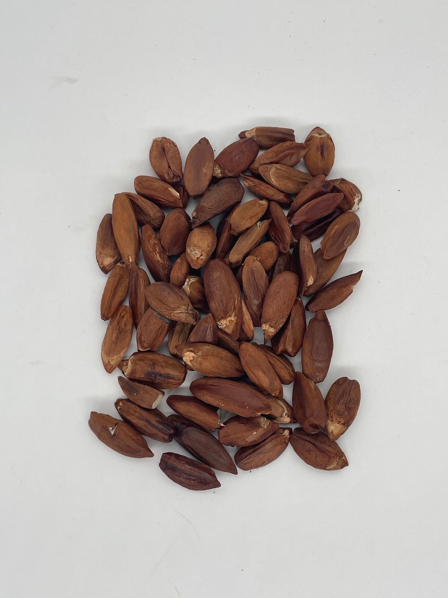 Noix de Pili sans coque – Nature 500g