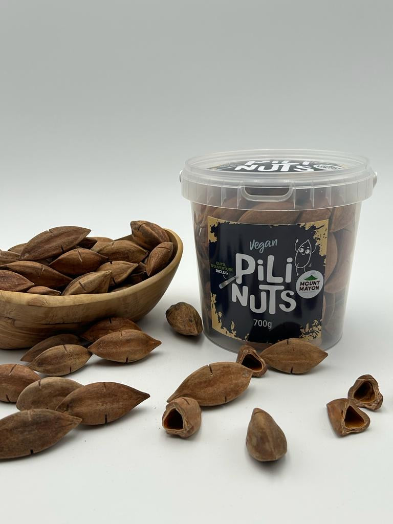 Pili-Nüsse in der Schale „Bucket to go“ 700g