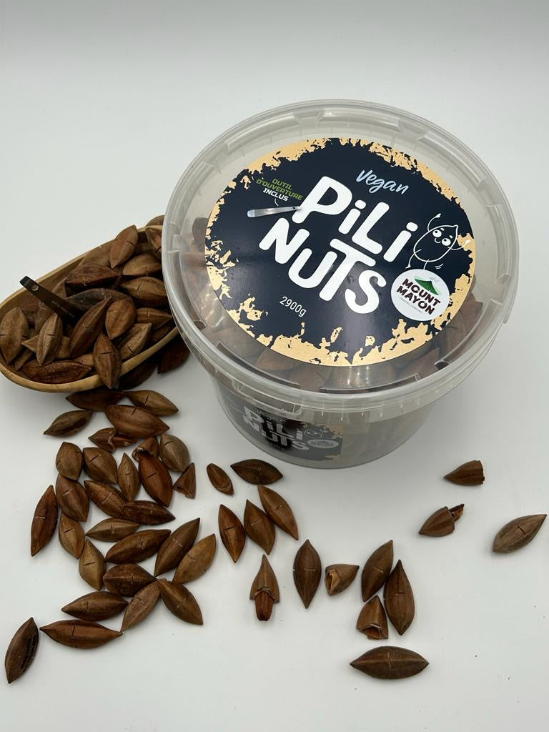 Pili-Nüsse in der Schale „XXL-Eimer“ 2900g